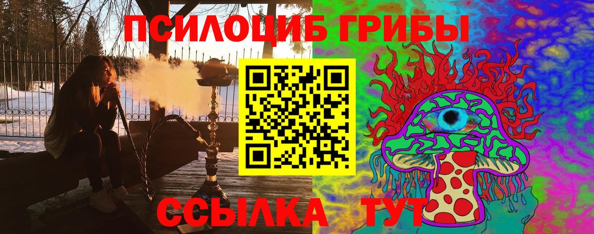 наркошоп  Галлюциногенные грибы MAGIC MUSHROOMS  Вход с VPN  Усть-Кут 