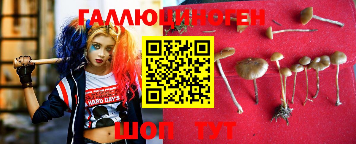 Псилоцибиновые грибы Magic Shrooms Усть-Кут